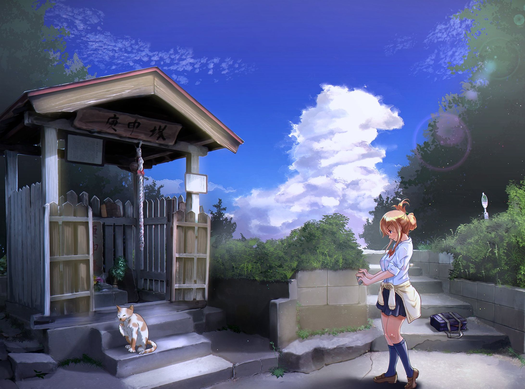 夏と猫と社-1