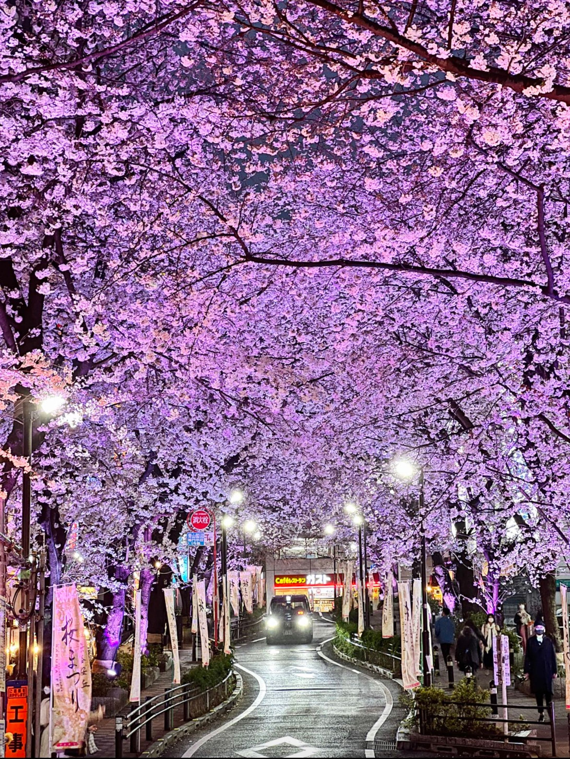 渋谷桜坂を行く〜幻想的なライトアップの中を-1