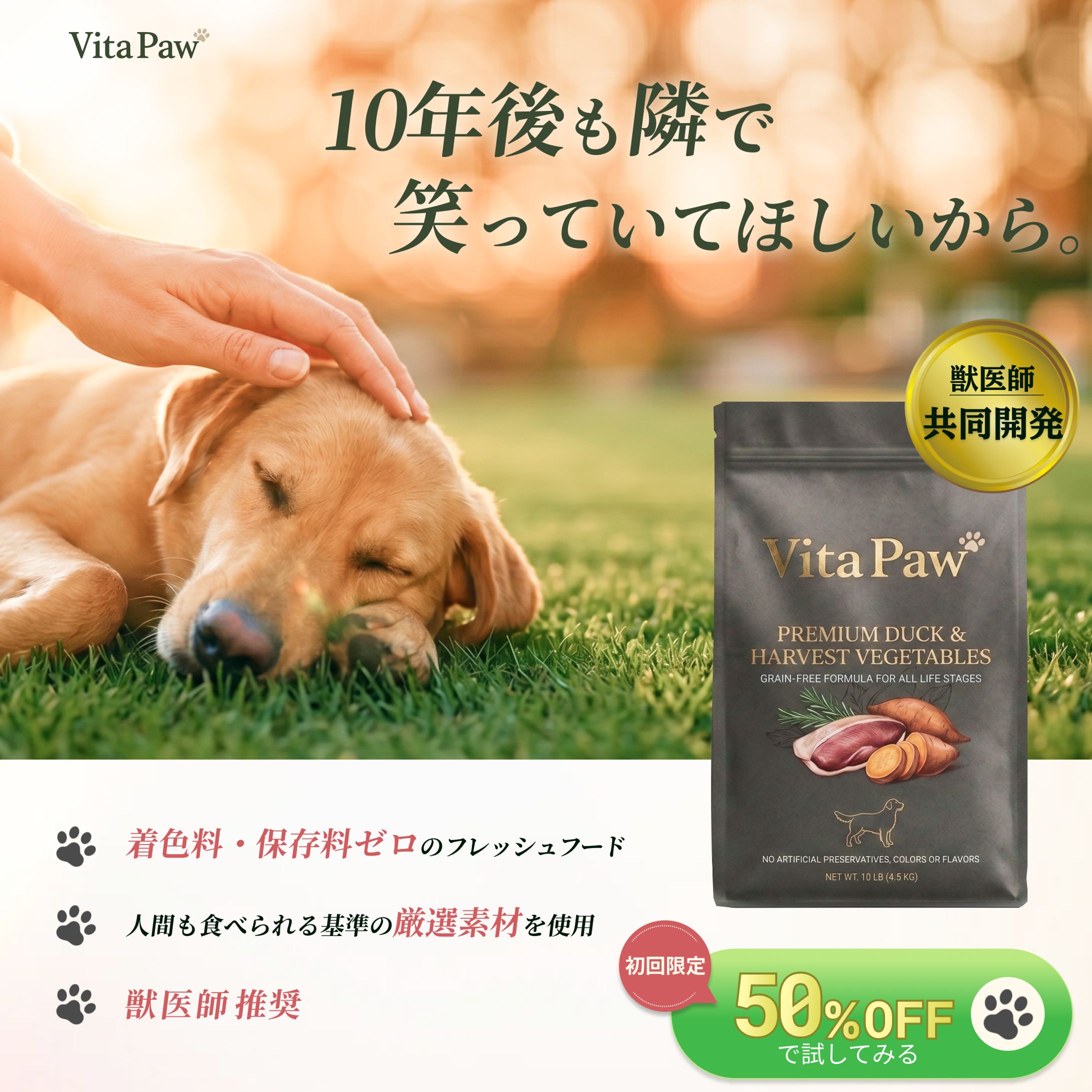 ドッグフードバナー-1