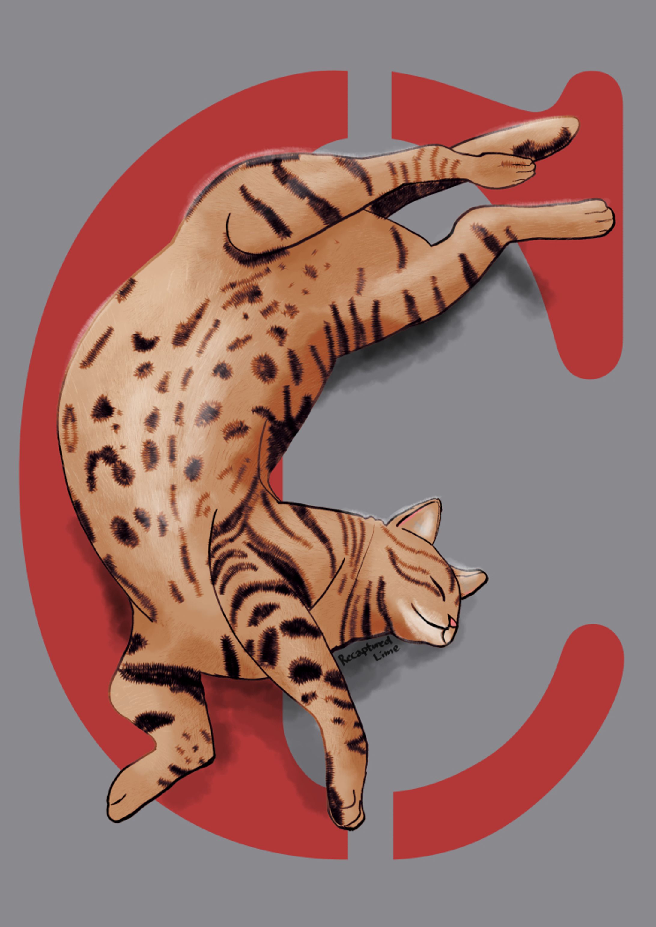 Cats-1