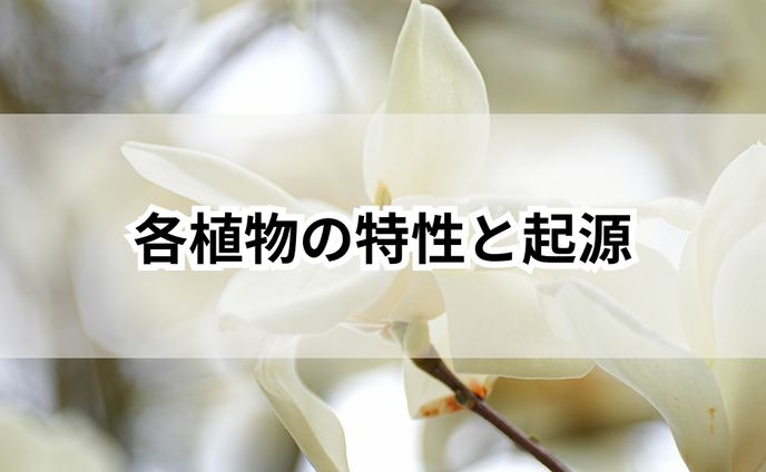 各植物の特性と起源