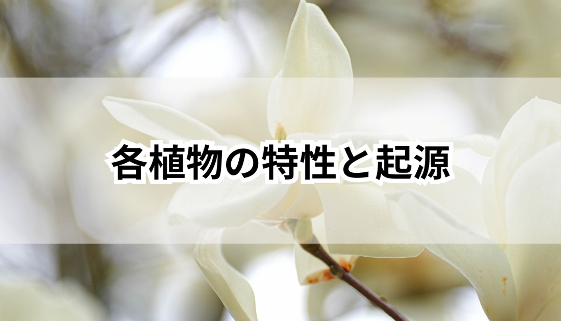 各植物の特性と起源-1