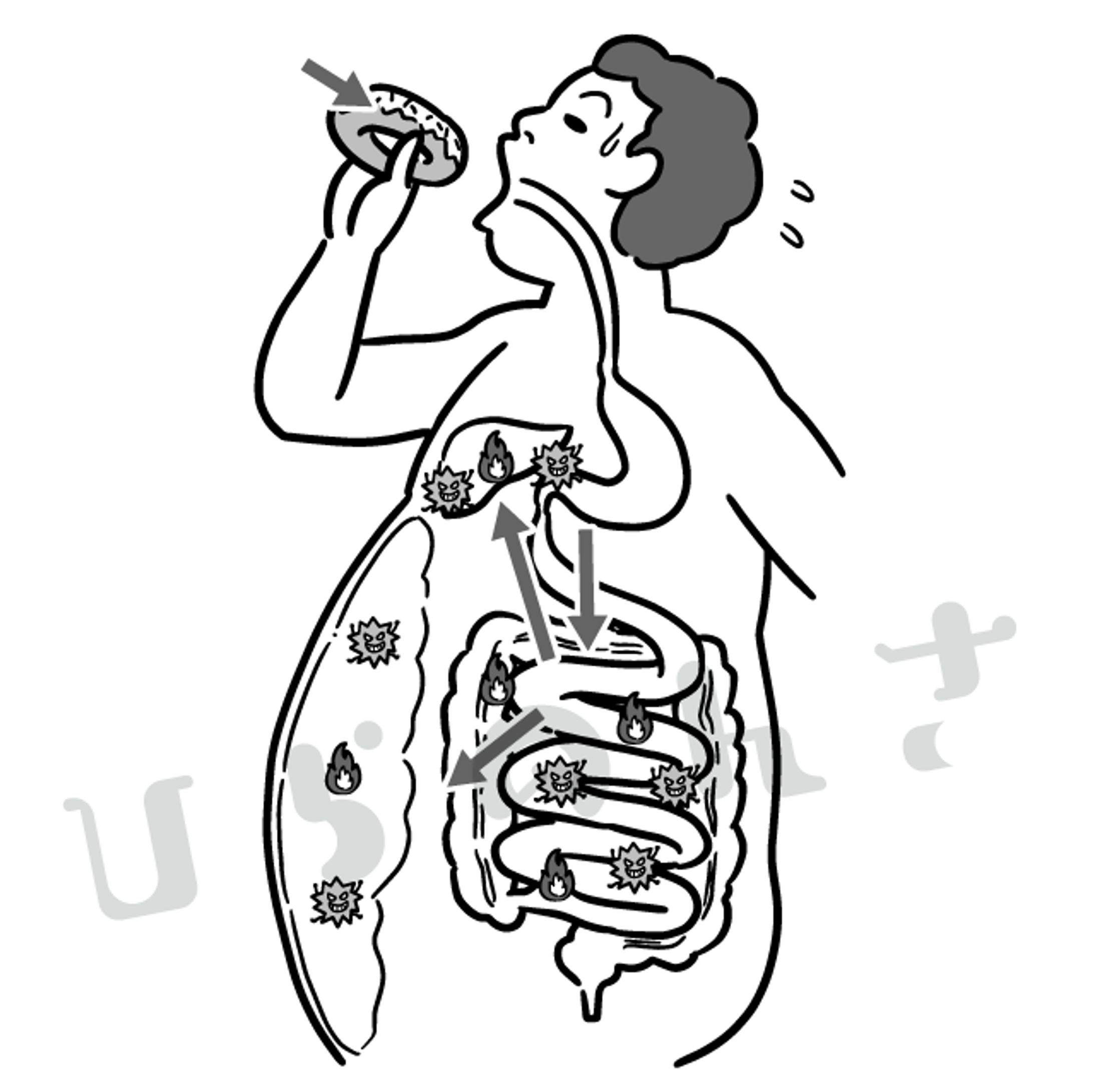 いい肥満、悪い肥満-1