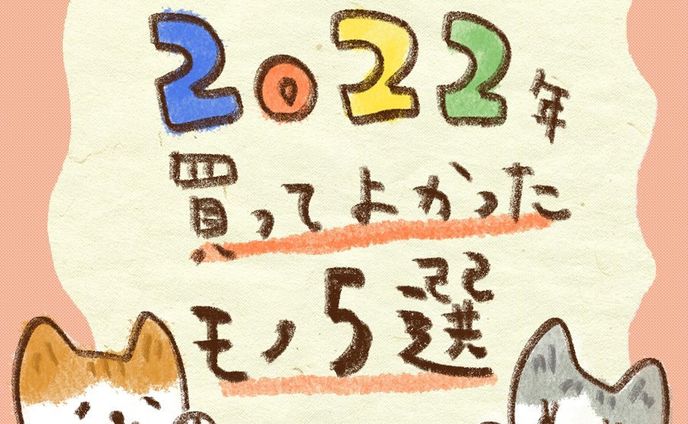 我が家の買ってみてよかった猫さまグッズでーす🐾
みんにゃのお家編も気になる…！🤔

来年も貢がせていただくぞ〜🤑

#茶白 #茶白猫 #キジ白 #サバ白 #キジシロ#はちわれ #ヅラ猫 #にゃんすたぐらむ #ねこすたぐらむ #猫のいる暮らし #猫好きさんと繋がりたい #cat#catstagram #保護猫と暮らす#치즈냥#고등어고양이#橘貓#redtabbyandwhite #마스크 #고등어태비#dailycat#コミックエッセイ#猫漫画#catillustration#猫イラスト#エッセイ漫画#猫壱#買ってよかった#イラスト好きな人と繋がりたい#マストバイ