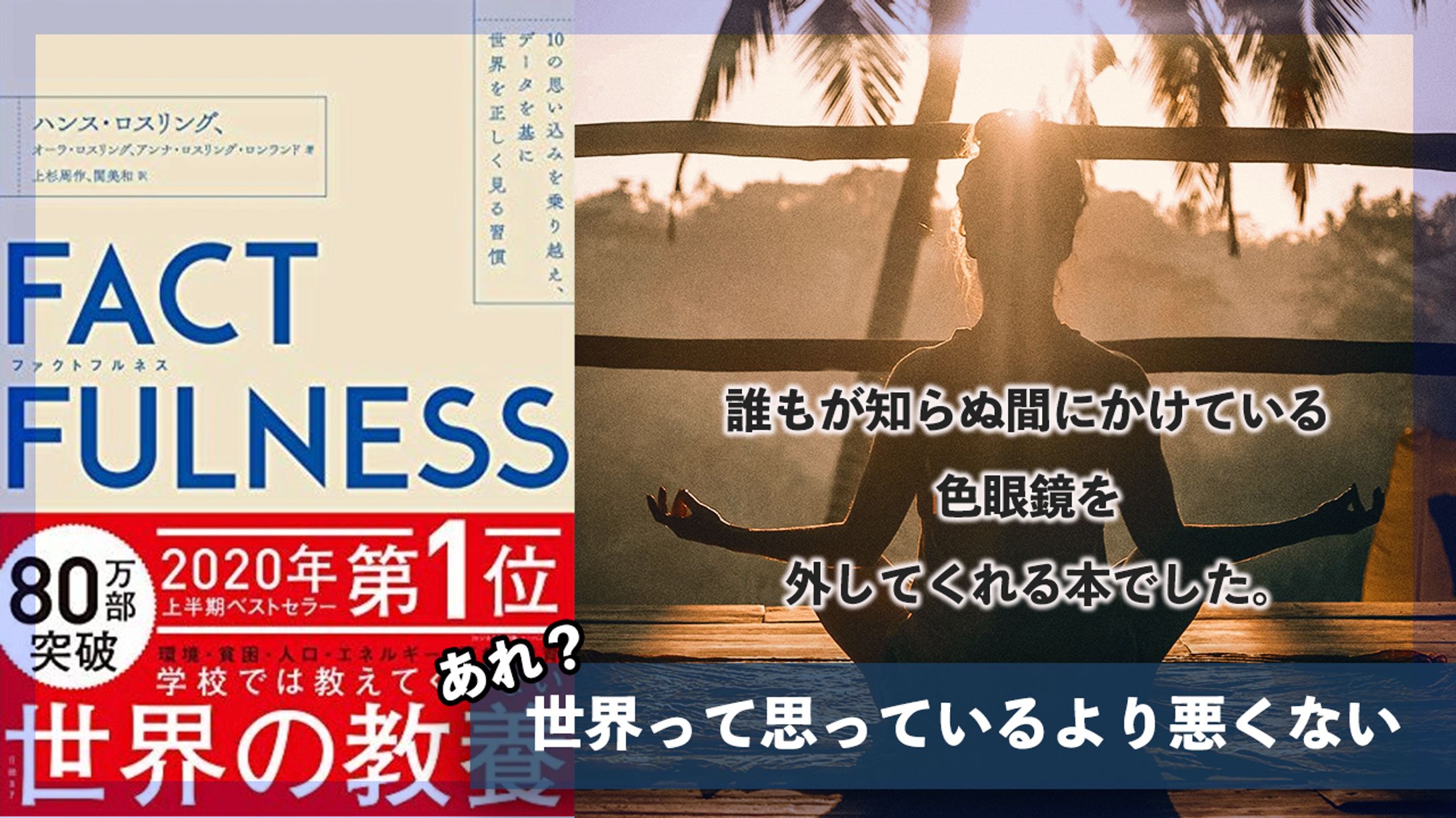 FACTFULNESSレビュー　あれ？世界って思っているより悪くない-1