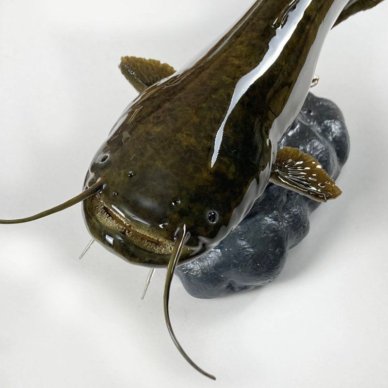 884645eea5bad54f3fa0873eda25c8