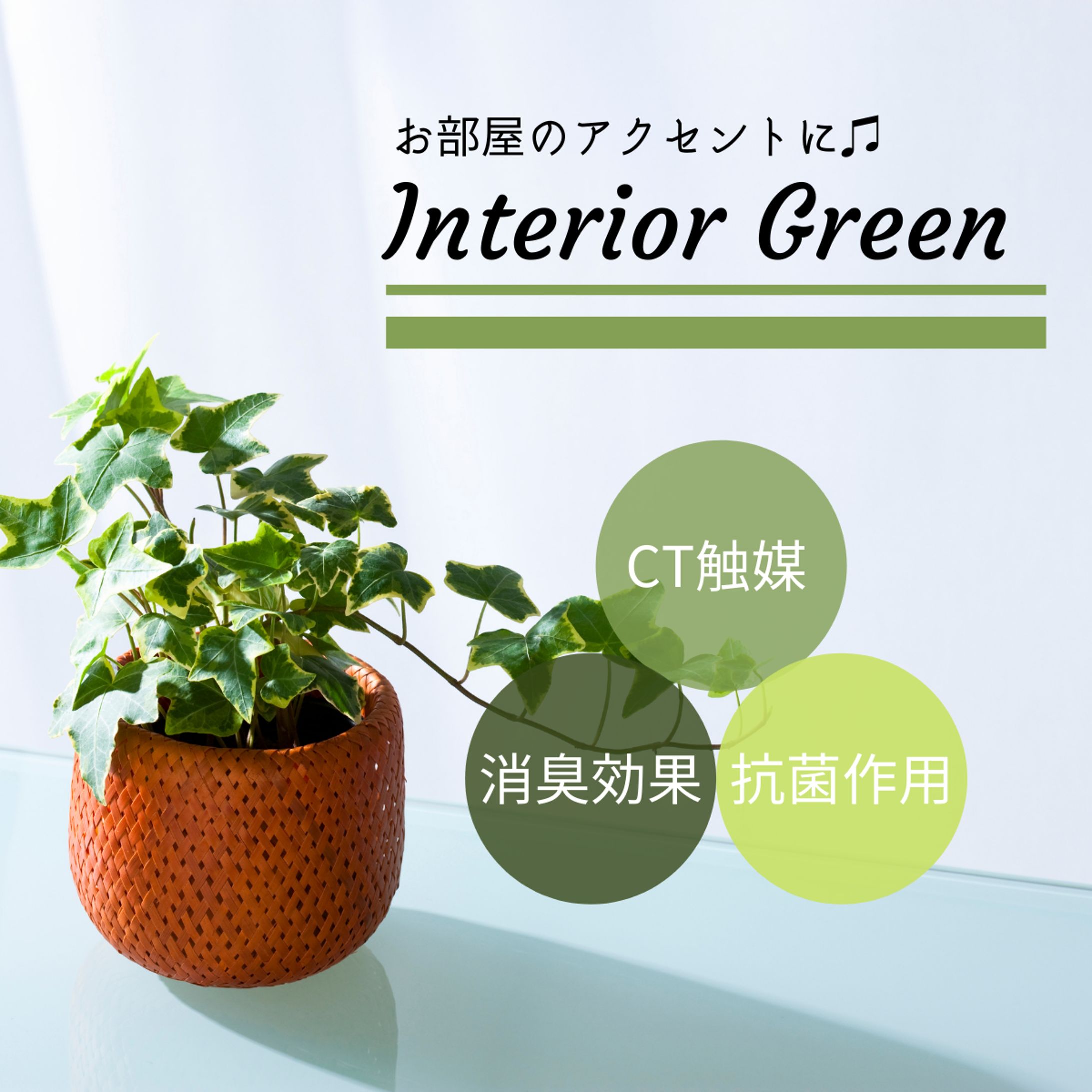 ECサイト商品画像-1