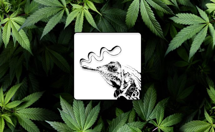 カメレオン×煙草