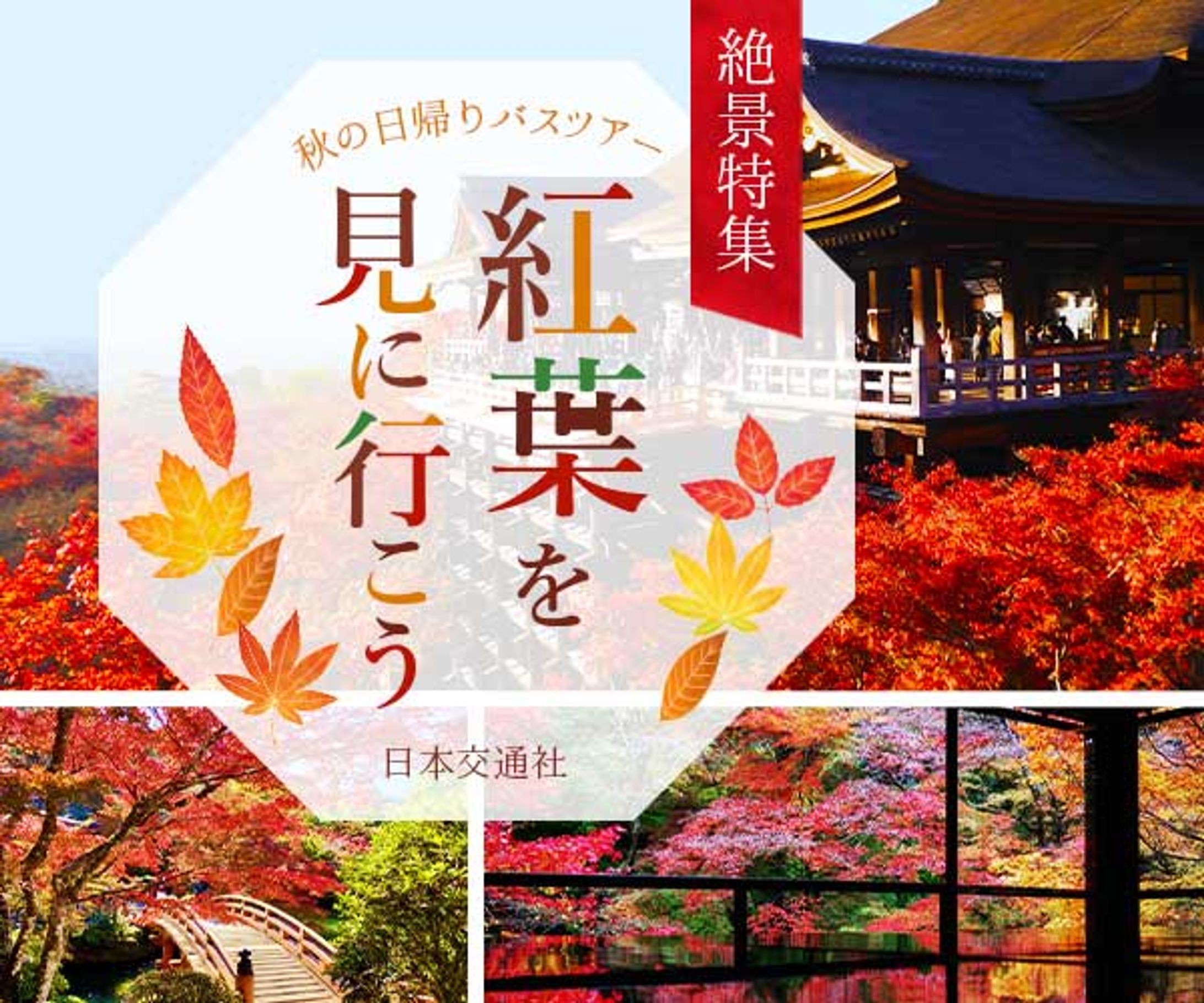 紅葉　バナー-1