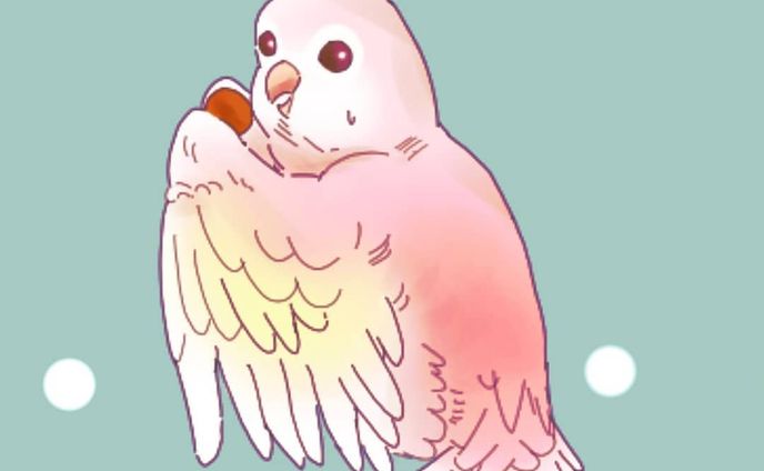 アキクサインコのLINEスタンプ申請しました！
審査が通りましたらまたお知らせさせて頂きます🕺🕺🕺 #アキクサインコ
#いんこすたぐらむ 
#イラスト
#イラスト好きな人と繋がりたい 
#ilustration