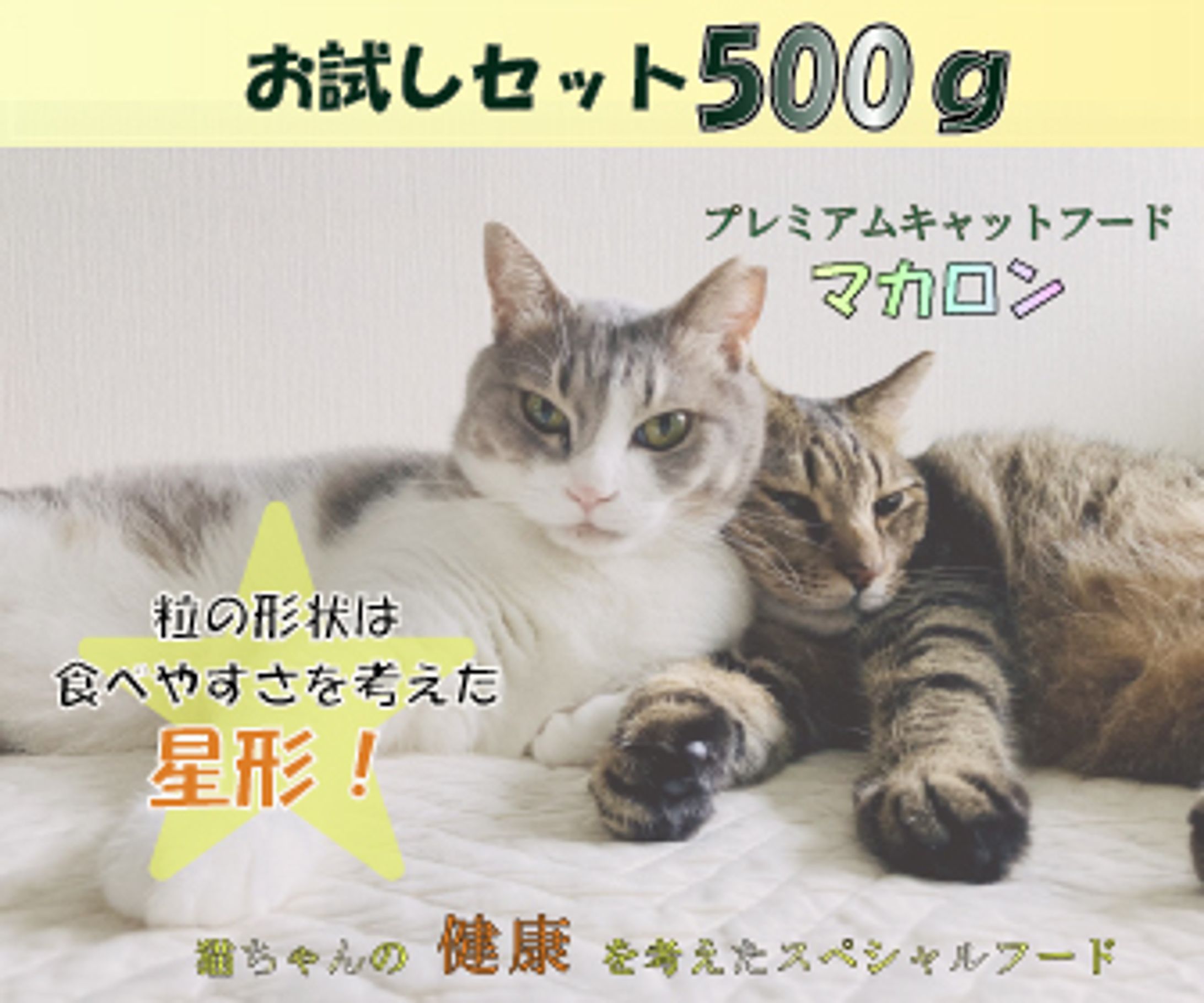 ペットフード系バナー-1