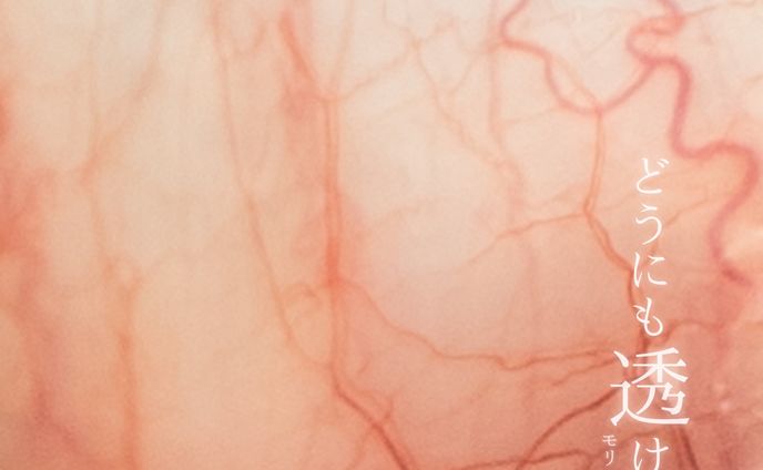 どうにも透けない/モリシタ ヒビキ