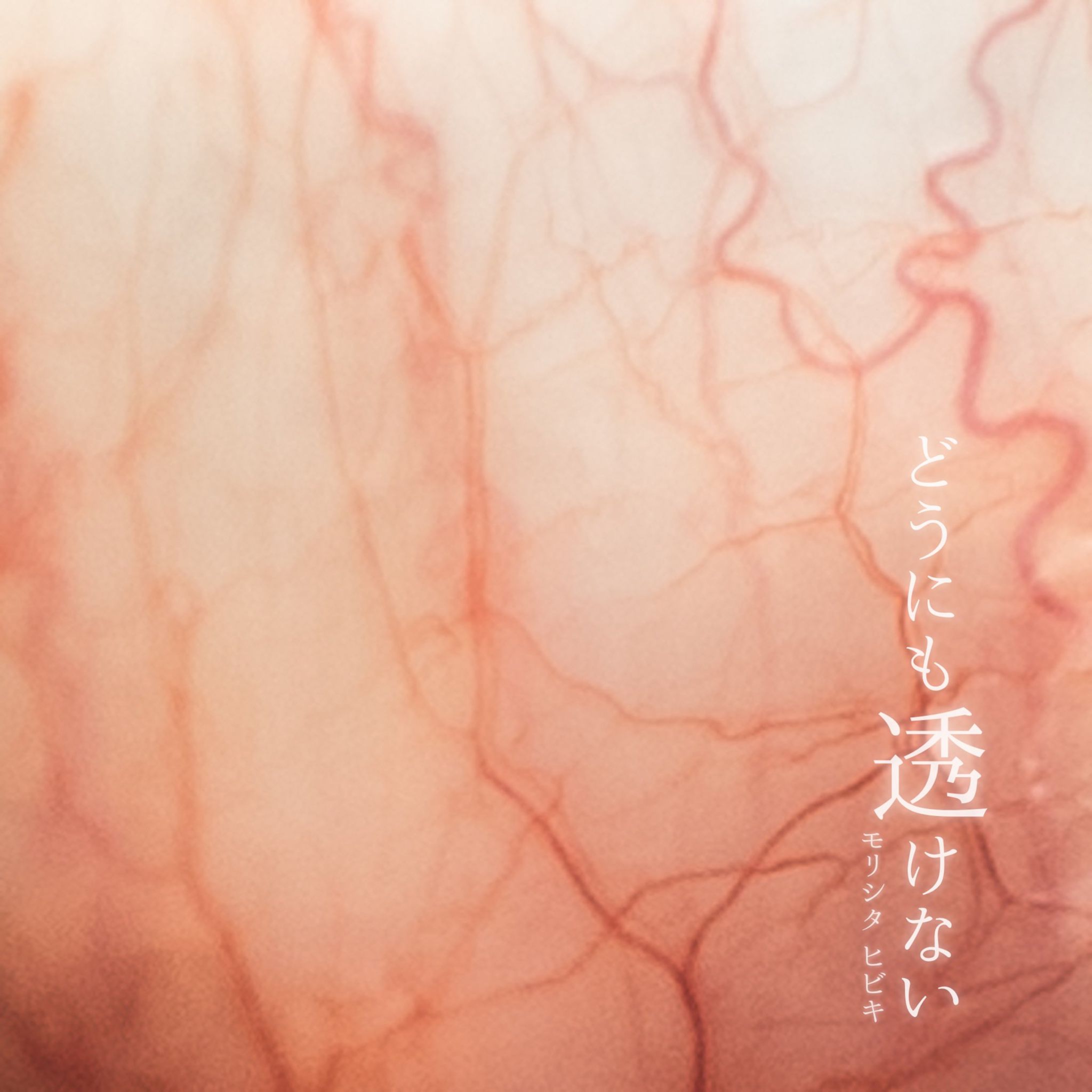 どうにも透けない/モリシタ ヒビキ-1