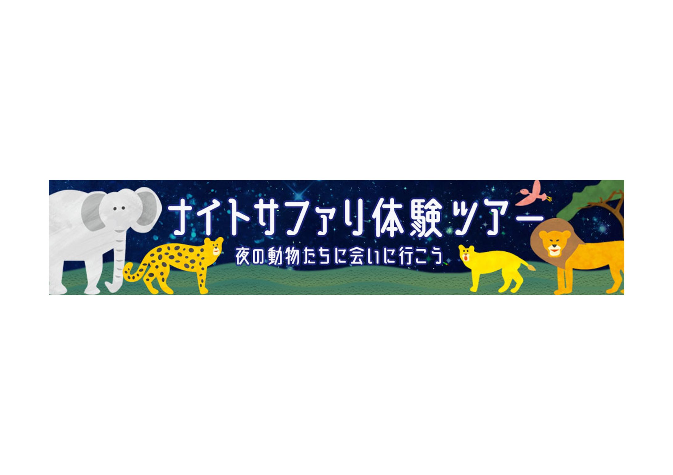 banner_ナイトサファリ-1