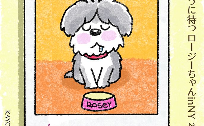 20250610待ってるロージーちゃん