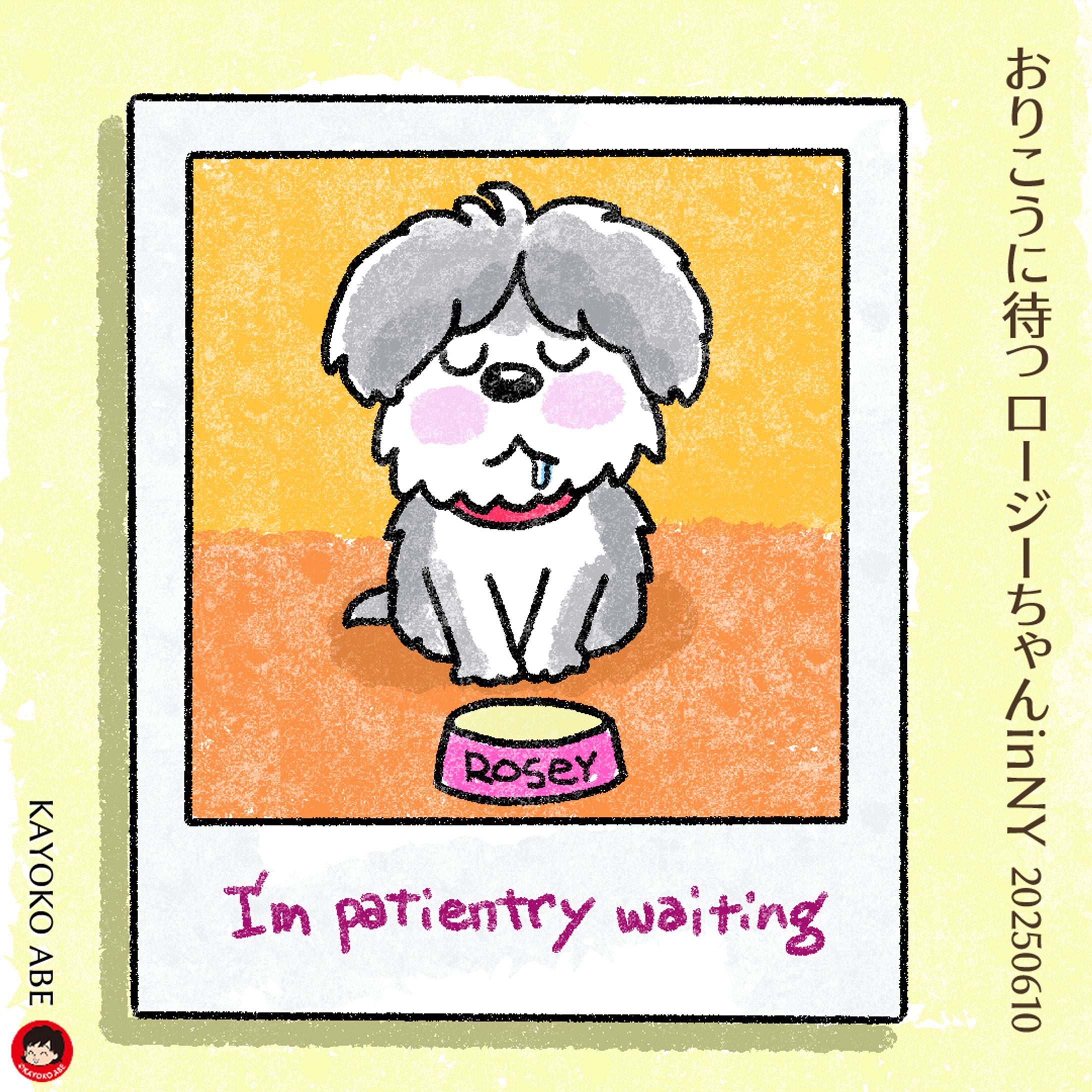 20250610待ってるロージーちゃん-1