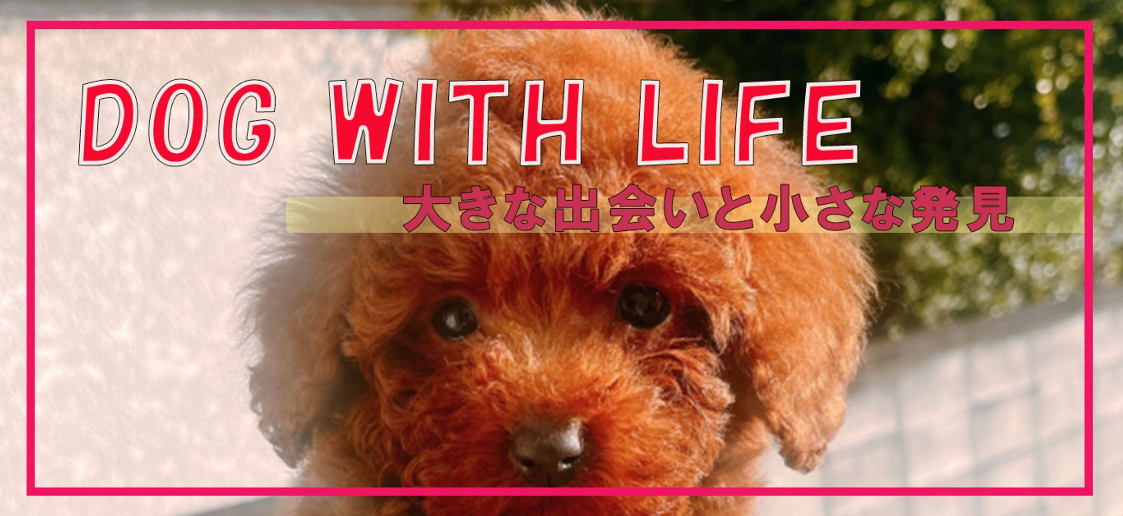犬バナー-1