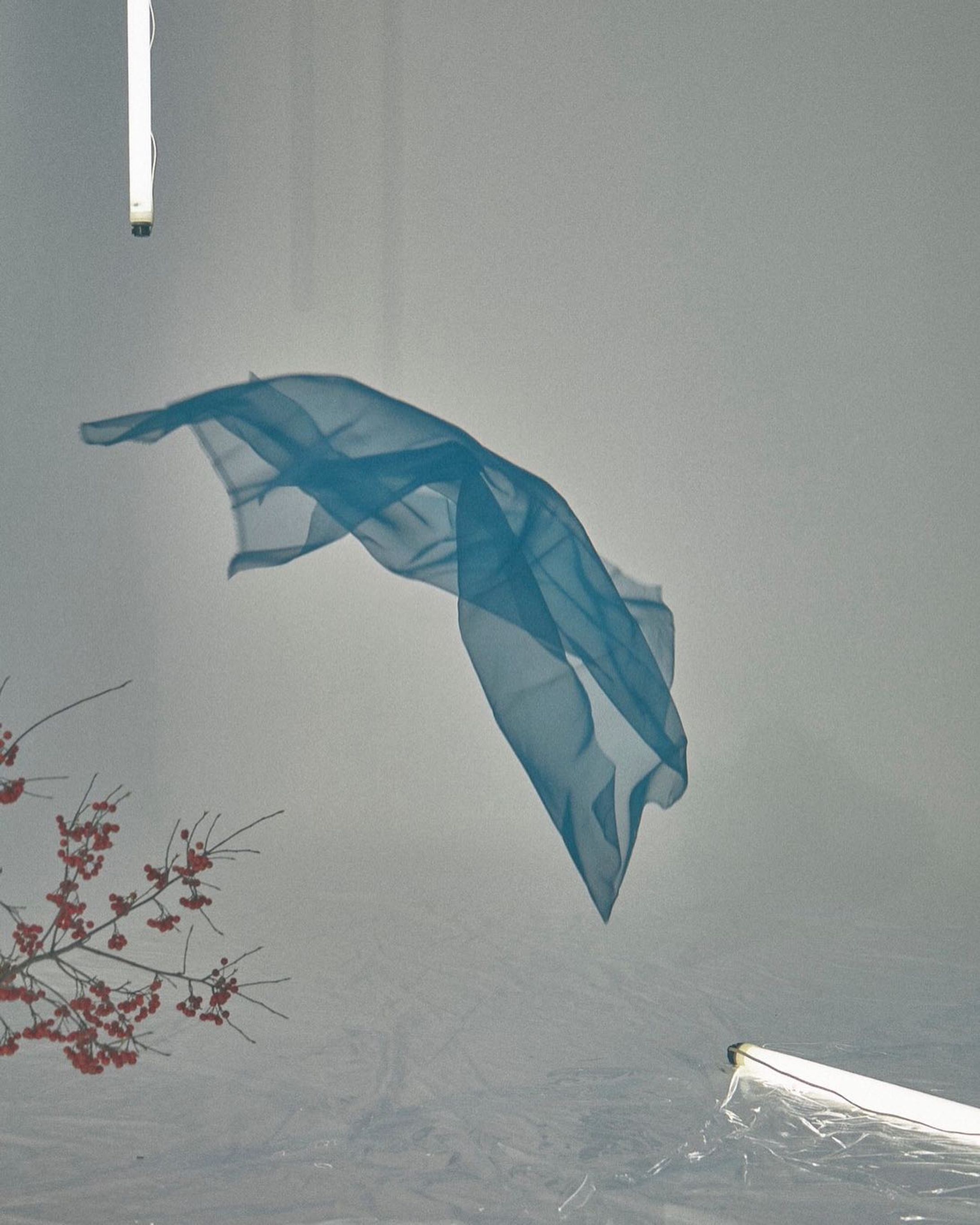 .
YL3AuL.5Au66X2YL3Q52x7,
Z2636661Q1Y73L25X303X7E1

photographer: @mikimademiki 
hairmake: @mkny_____ 
model: @shu_y73 
costume:INATONARUMI watanabe aina

12月19日をもって、展示会終了いたしました。
寒い中足を運んで下さった皆様、
本当にありがとうございました。

#costume #art #japanesepattern #japaneseculture  #portrait #fotografia #fashion #fashionstyle #fashionstylist #衣装 #衣装展示
#赤レンガ倉庫 #イベント　#japan #tokyo #yokohama-1