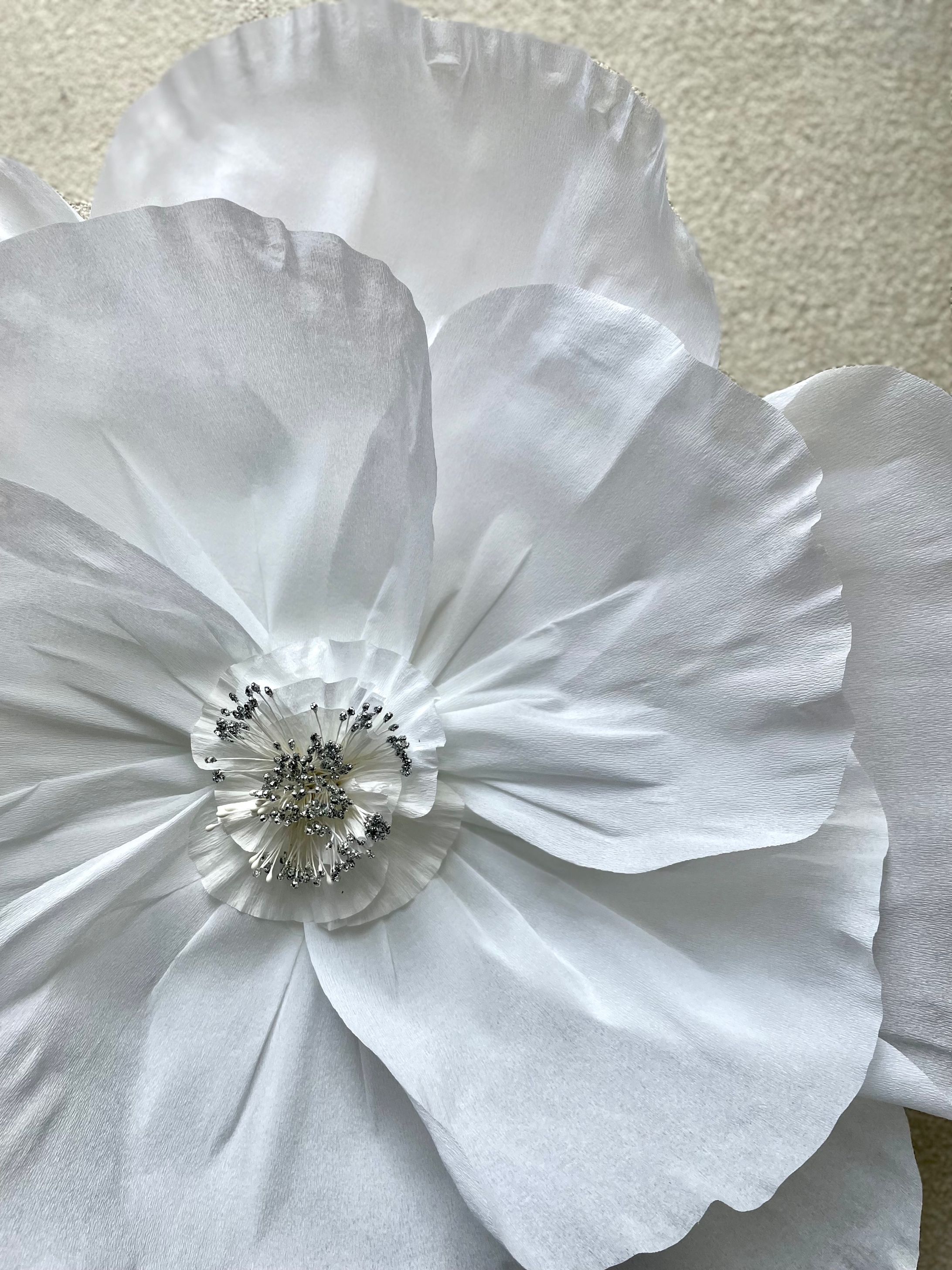 ジャイアント・ペーパーフラワー-1