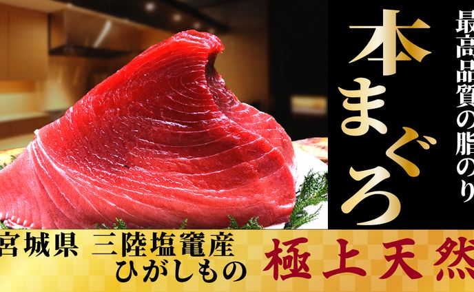 バナー 三陸塩竃産　生本鮪