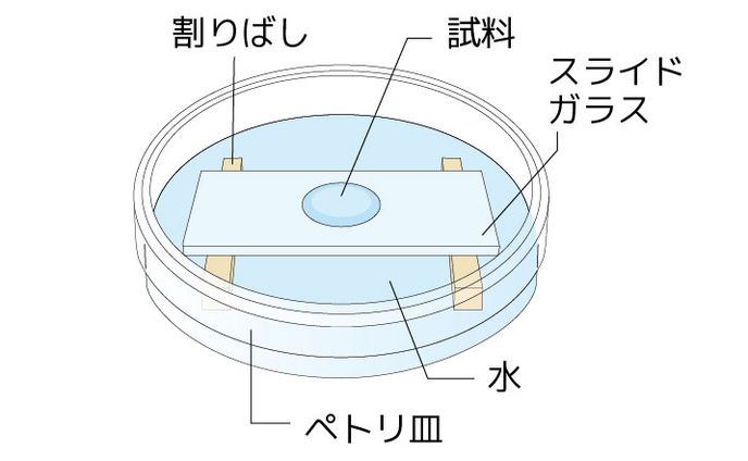 教材図版