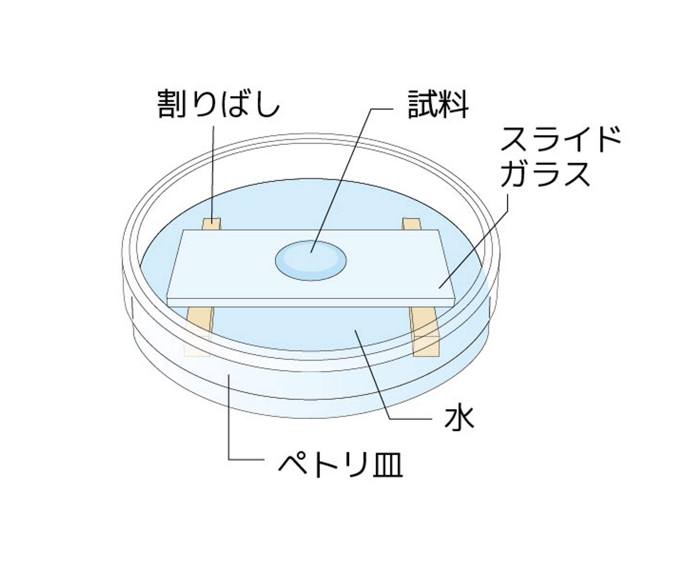 教材図版-1