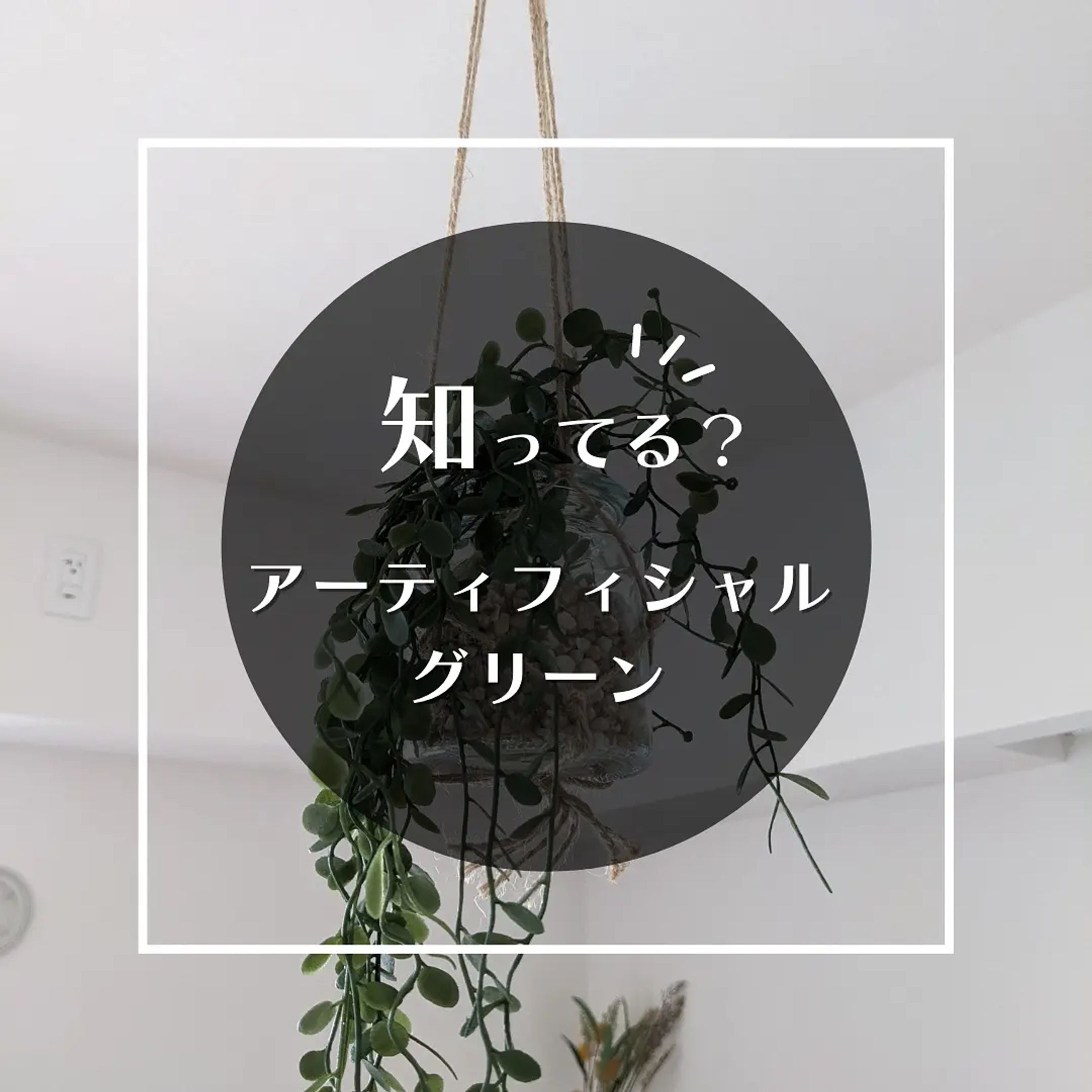 インスタグラム投稿用-1