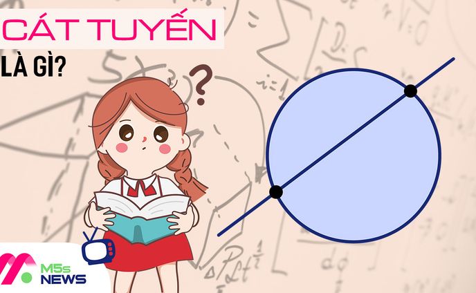Cát tuyến là gì? 