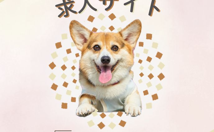 動物看護師1 1