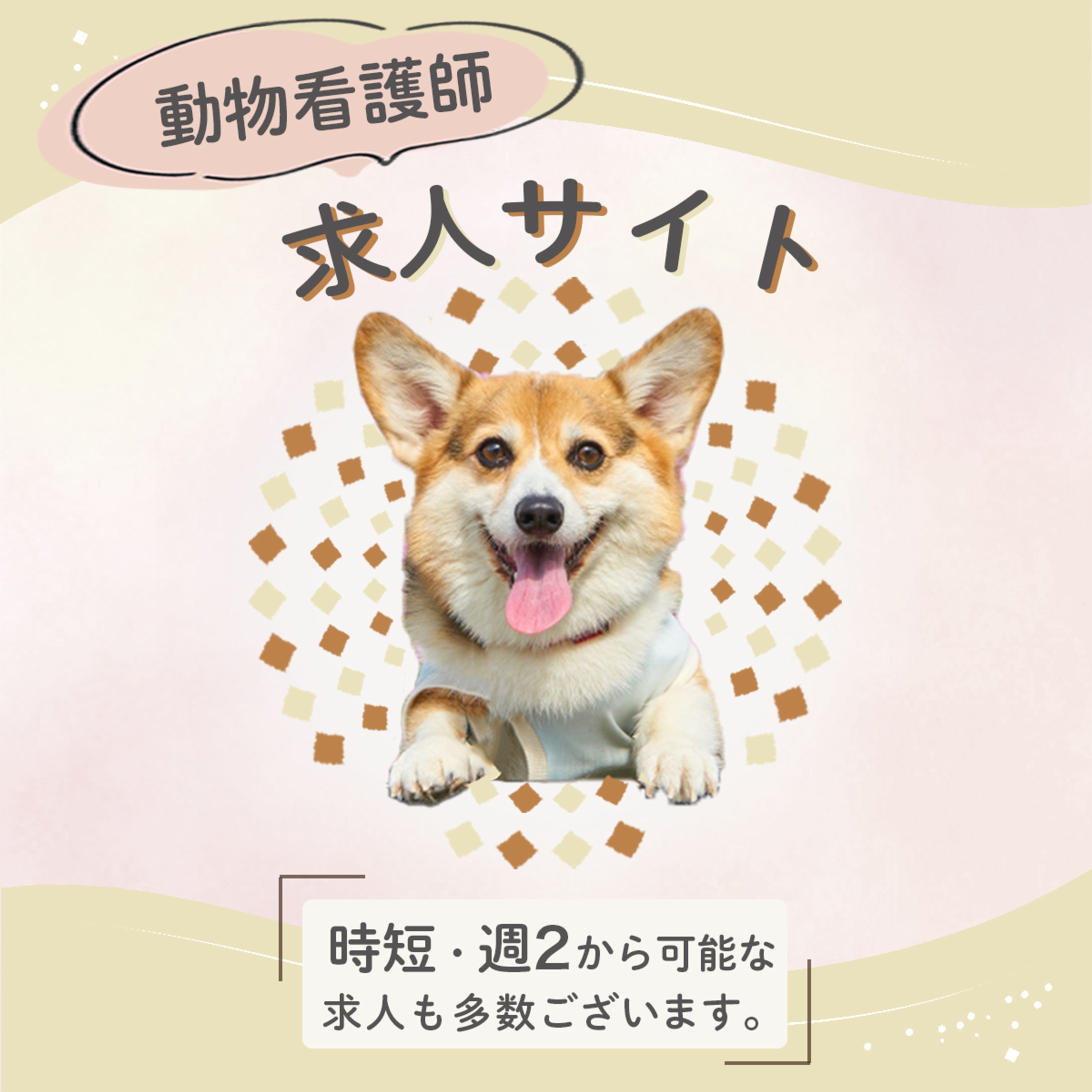 動物看護師1 1-1