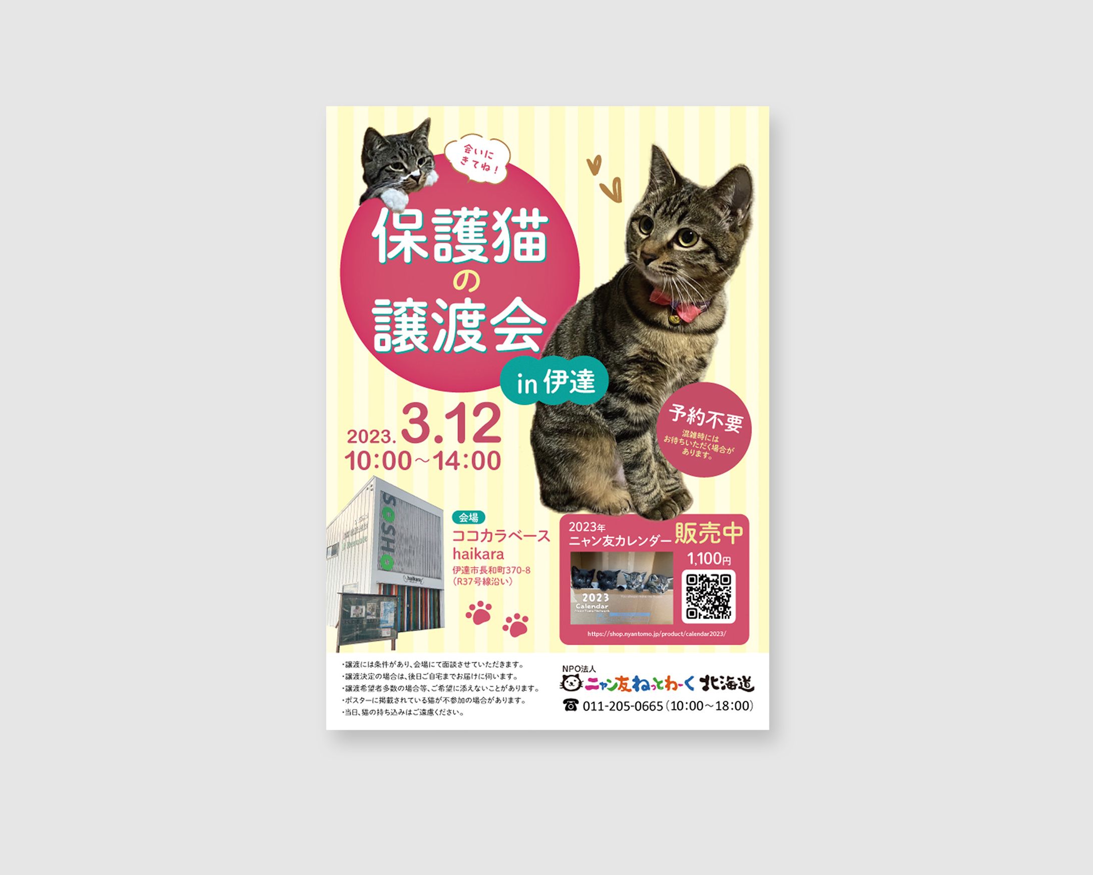 【実績】保護猫の譲渡会ポスター（2023年3月）-1