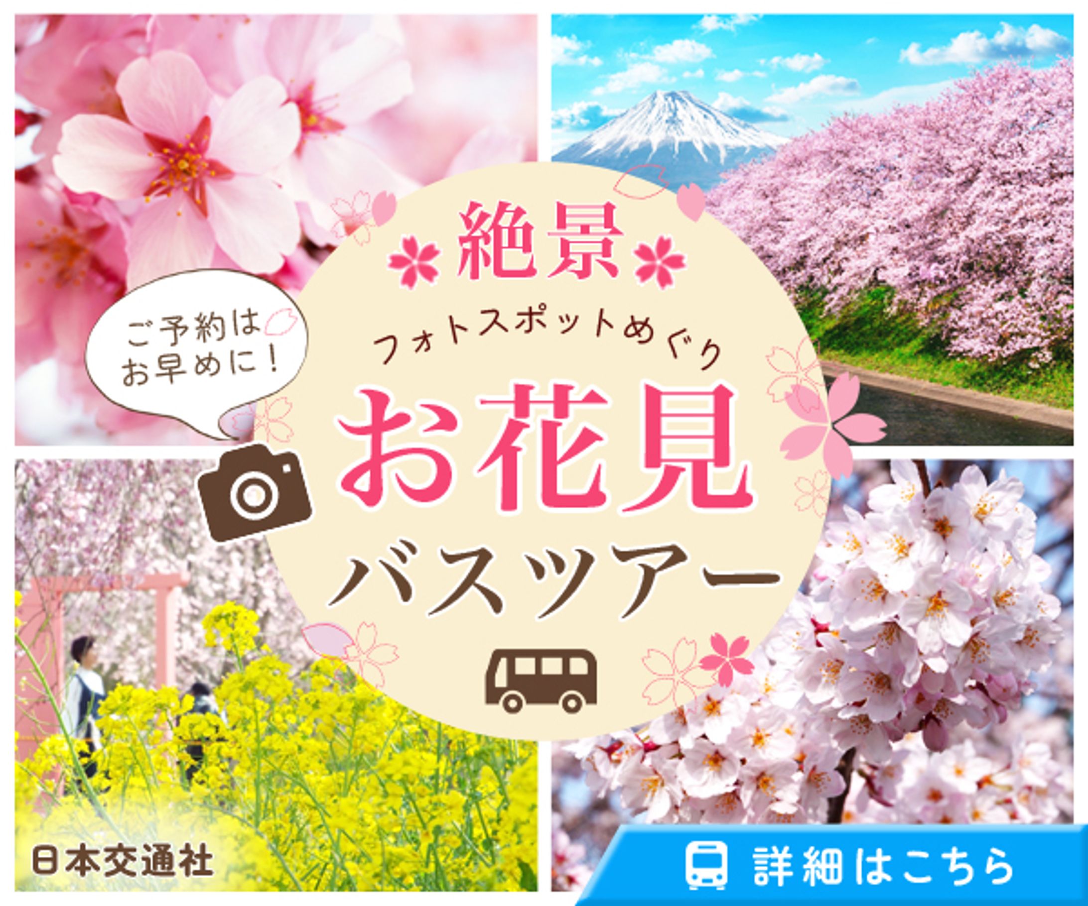 お花見バスツアー【バナー】-1