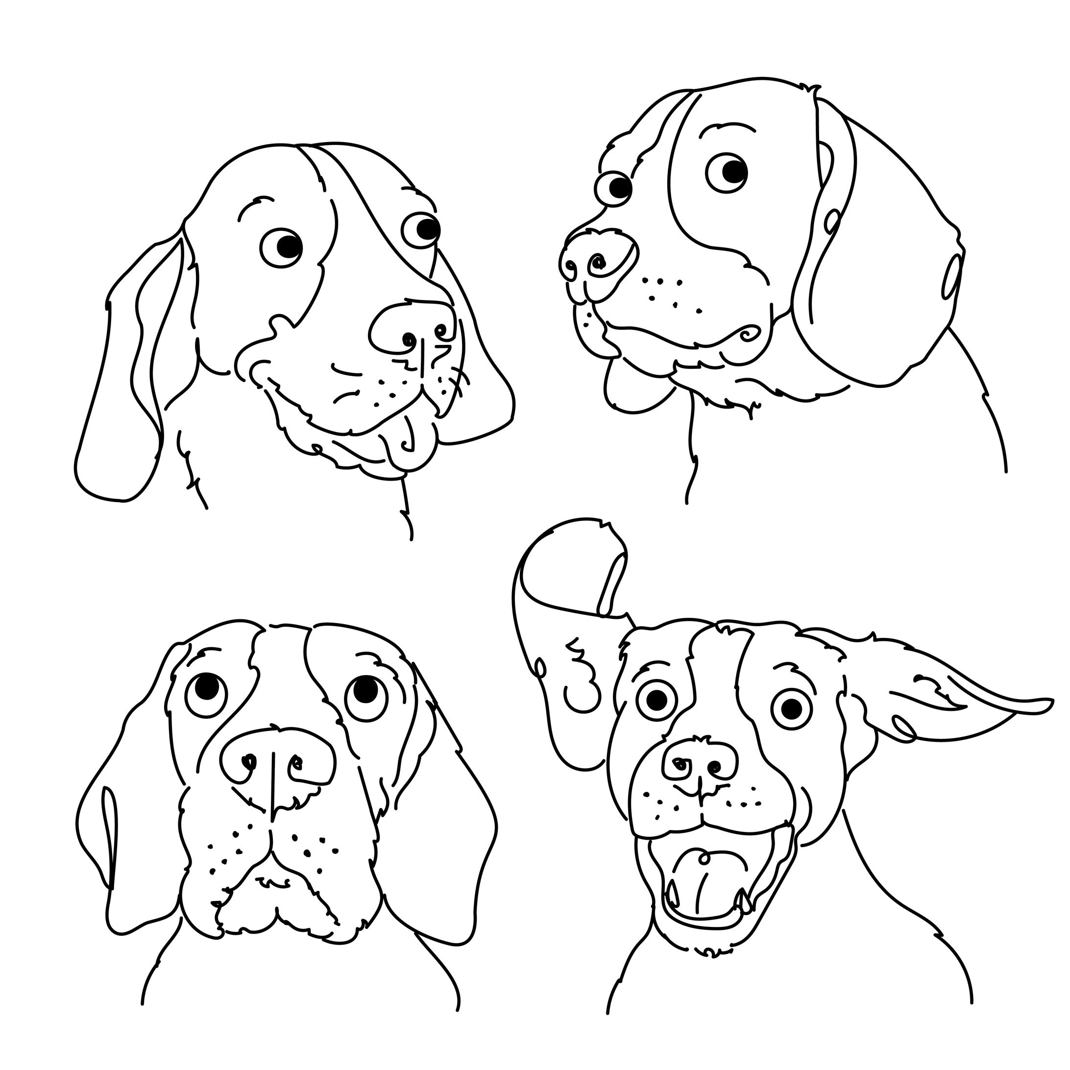 Beagle-1