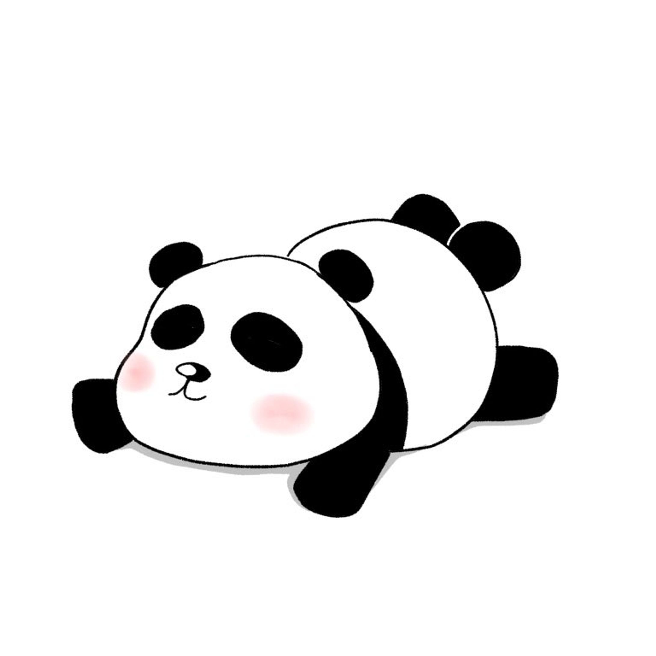 パンダくん-1