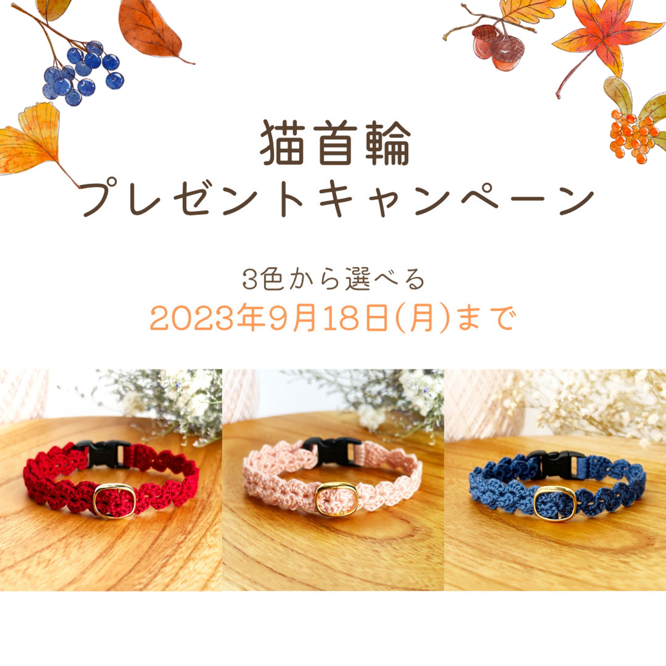 インスタ画像_プレゼントキャンペーン-1