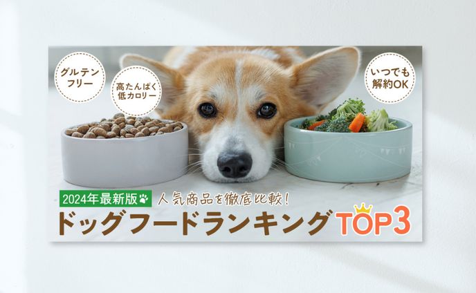 【バナー】ドッグフード