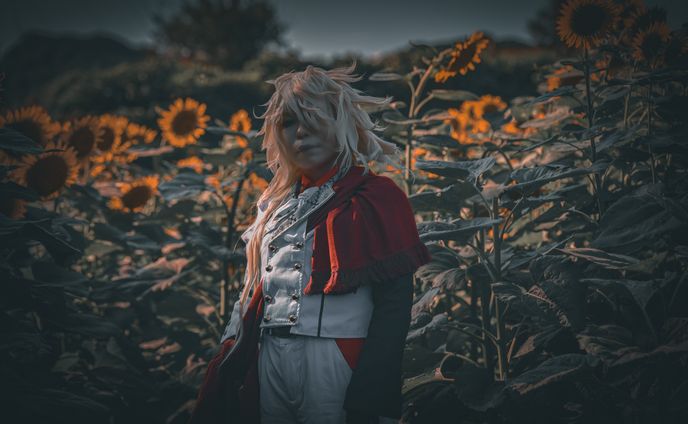 カメラマン、コスプレ