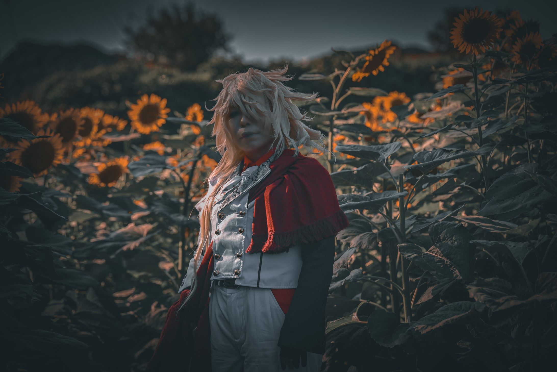 2023/8(向日葵畑/海) -1