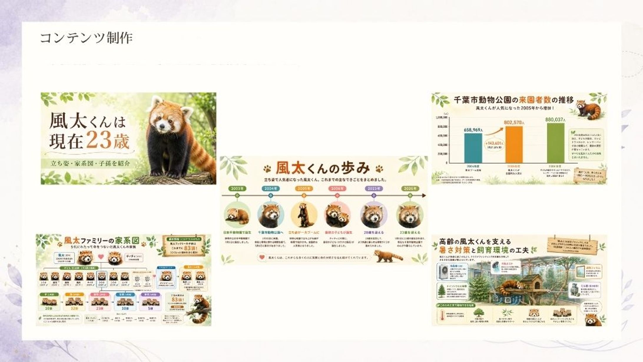 レッサーパンダ記事｜図解・インフォグラフィック制作-1
