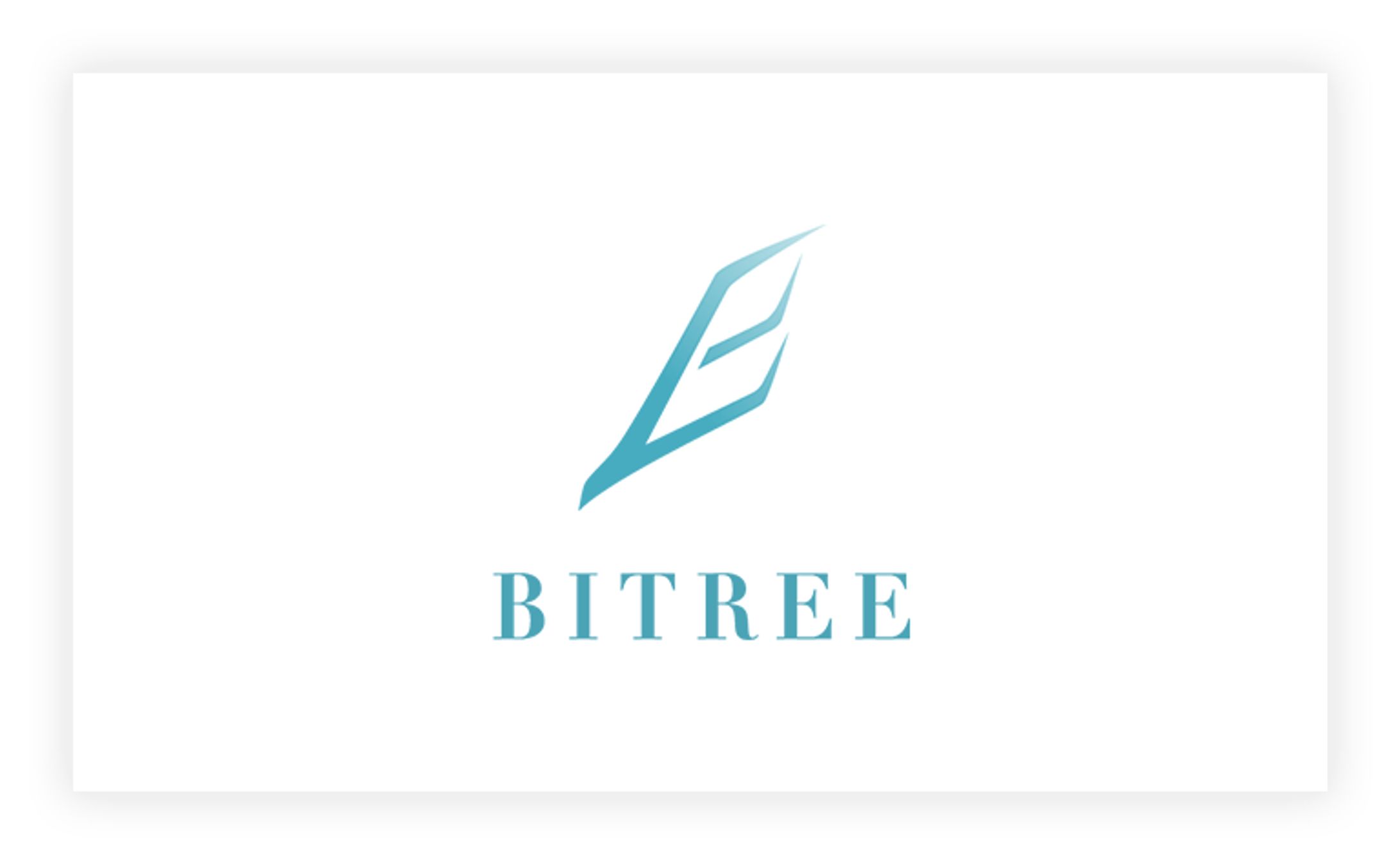 株式会社BITREE（建築内装工事業）-1