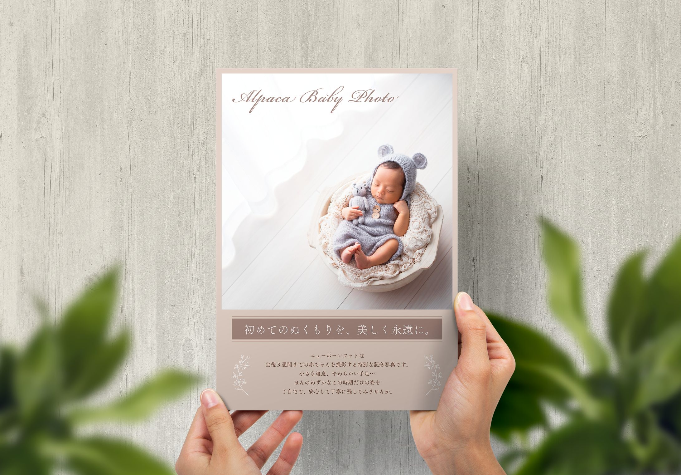 【チラシ】Alpaca Baby Photo様（両面）-1