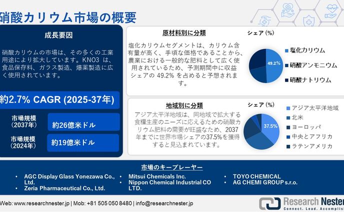 硝酸カリウム市場調査：分析、アプリケーション、競争戦略、予測2037