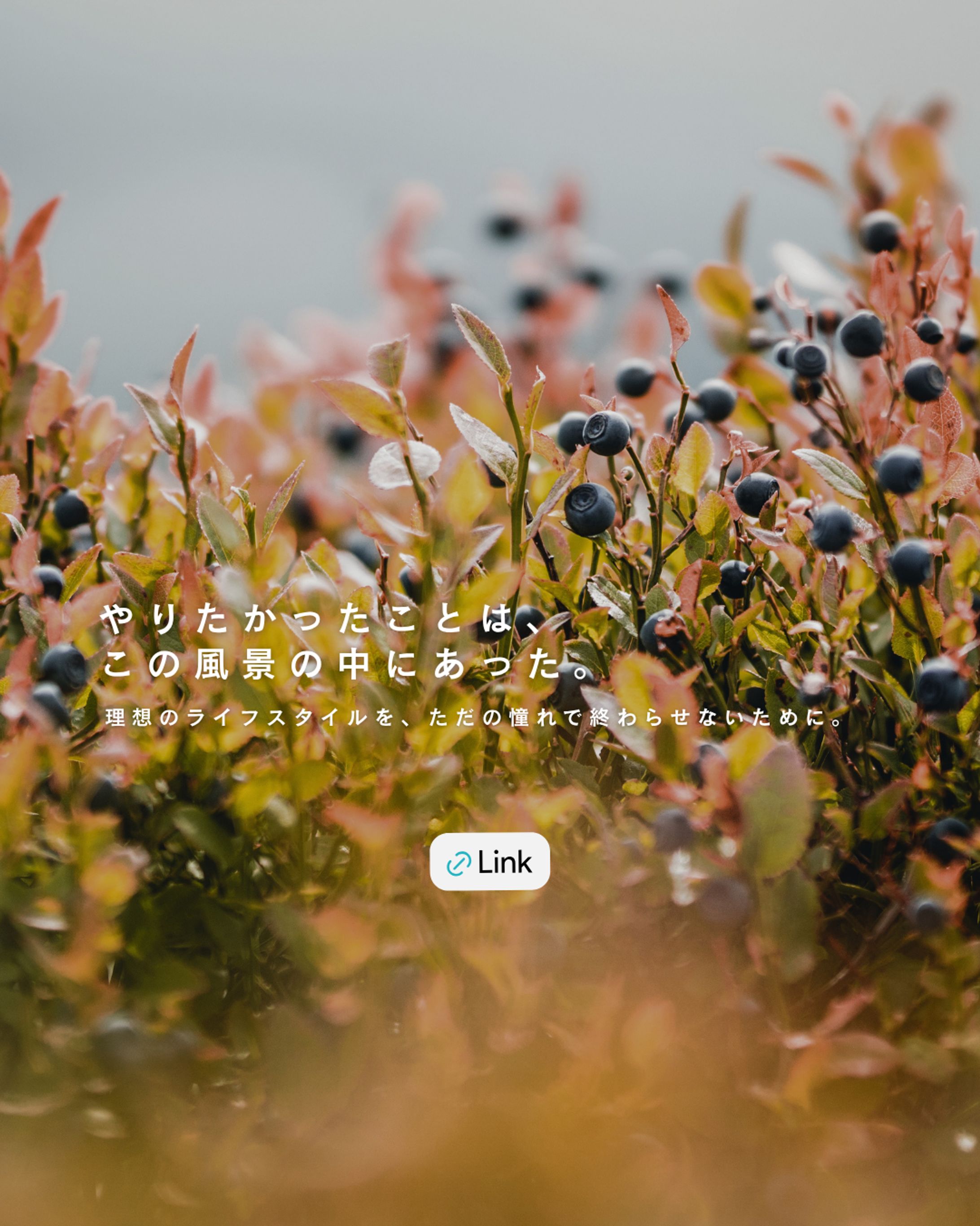 移住Instagramバナー-1
