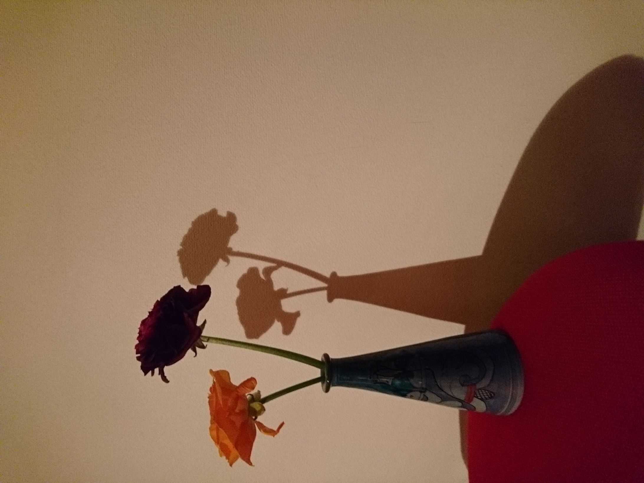 flowers(home)-1
