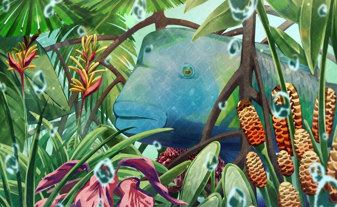 【一枚絵】魚1匹＋背景