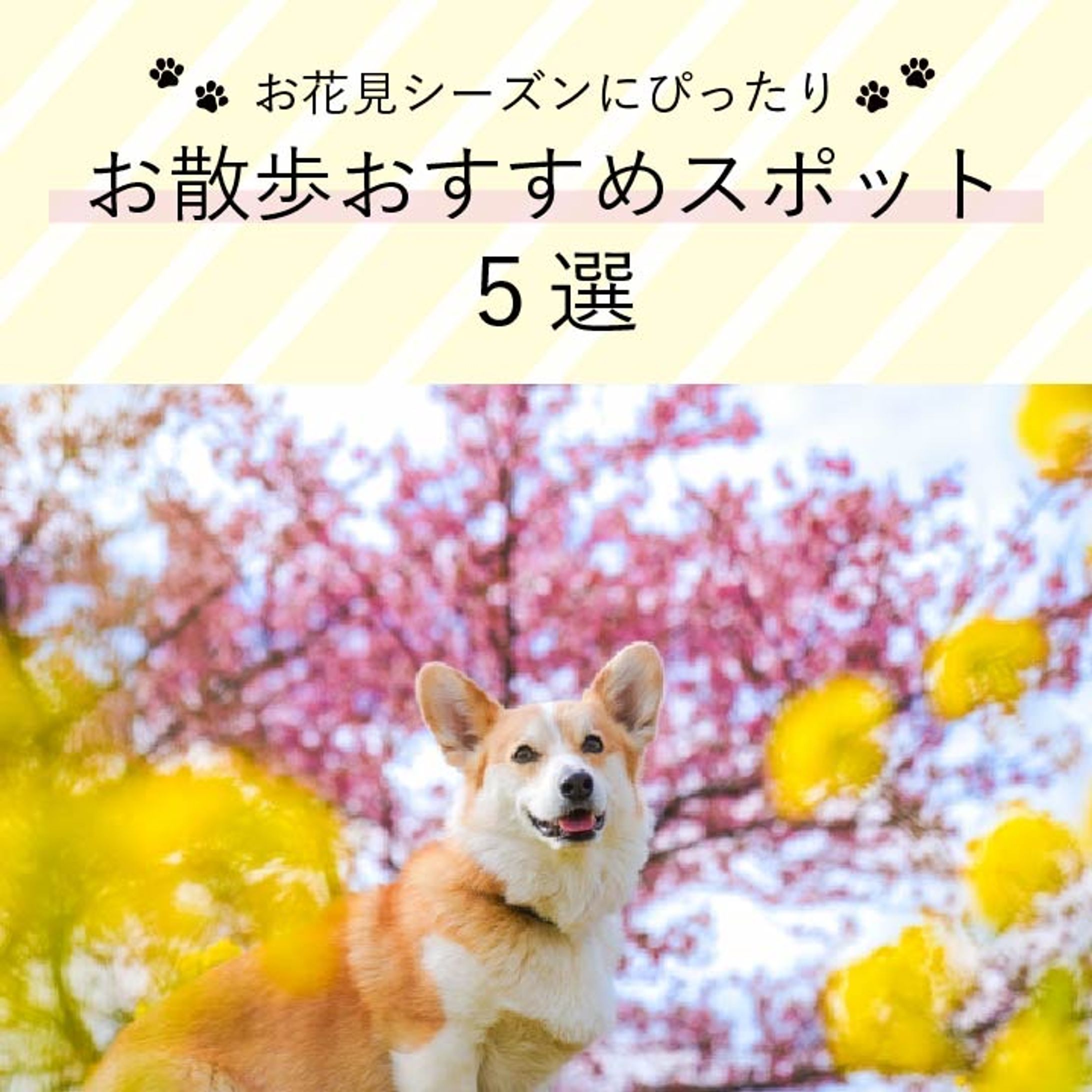 Instagramフィード テンプレート作成-1
