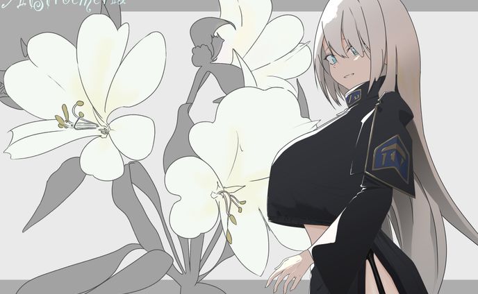 アルストロメリア