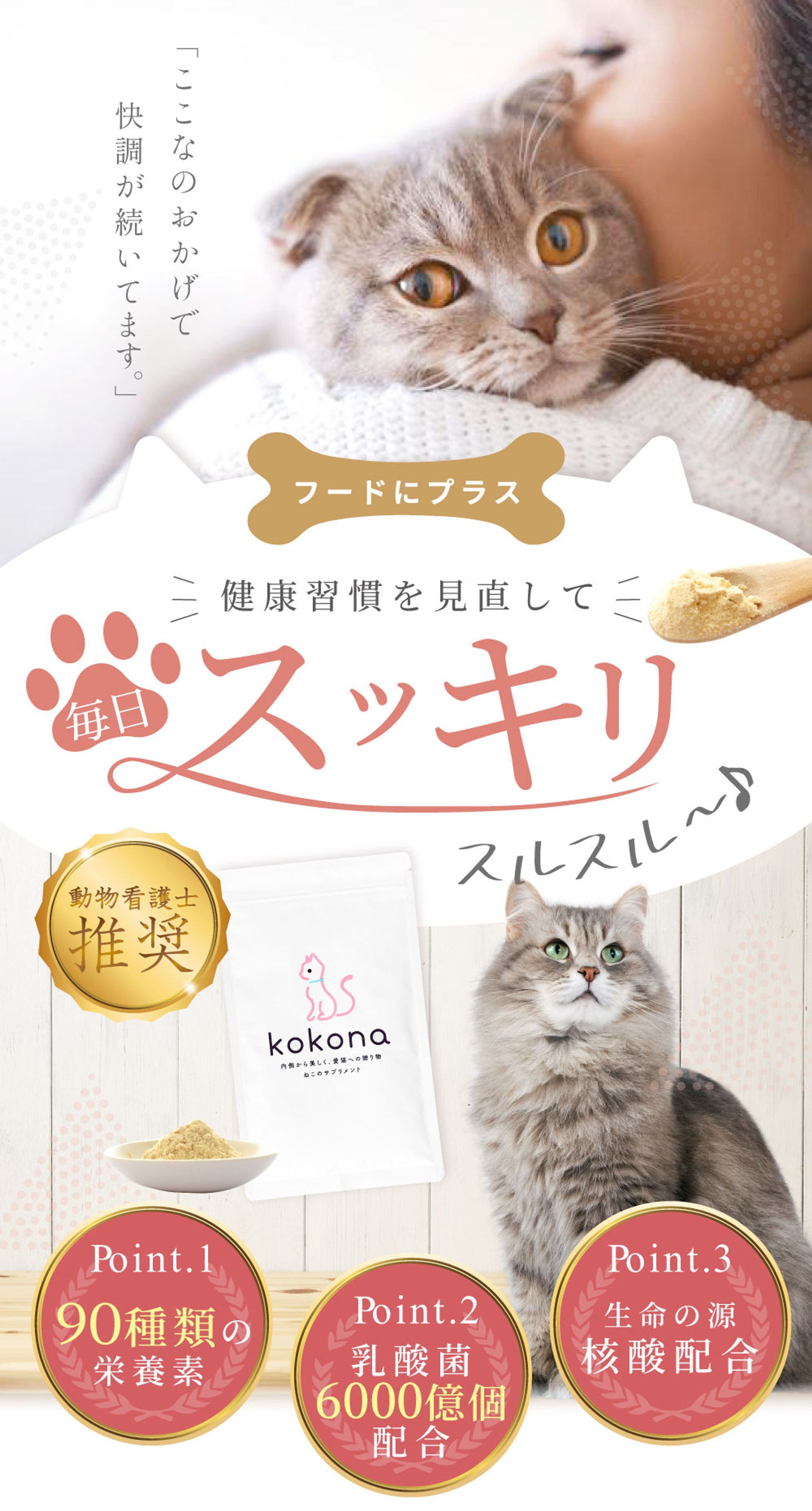 kokona商品LP-1