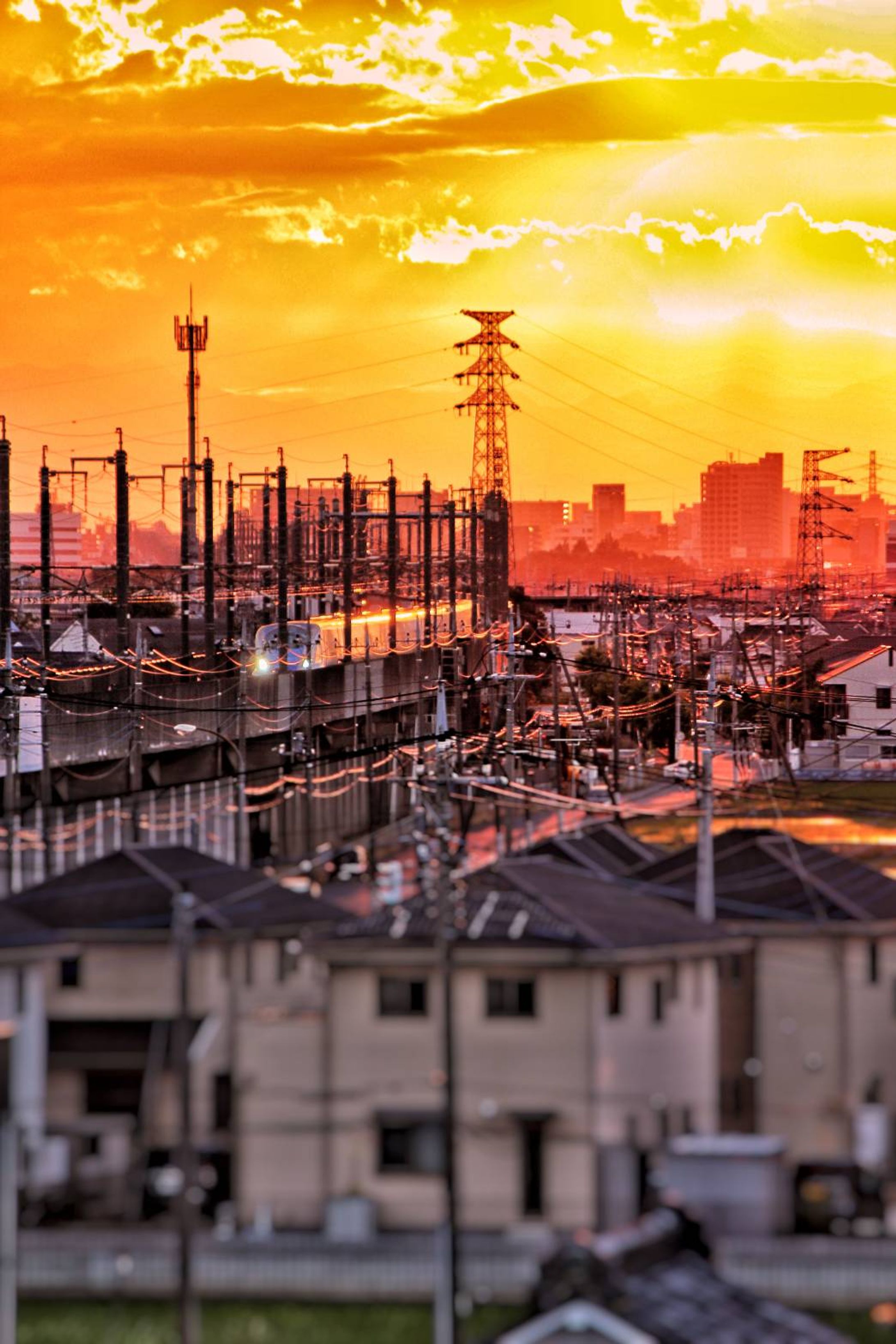 縦写真-1