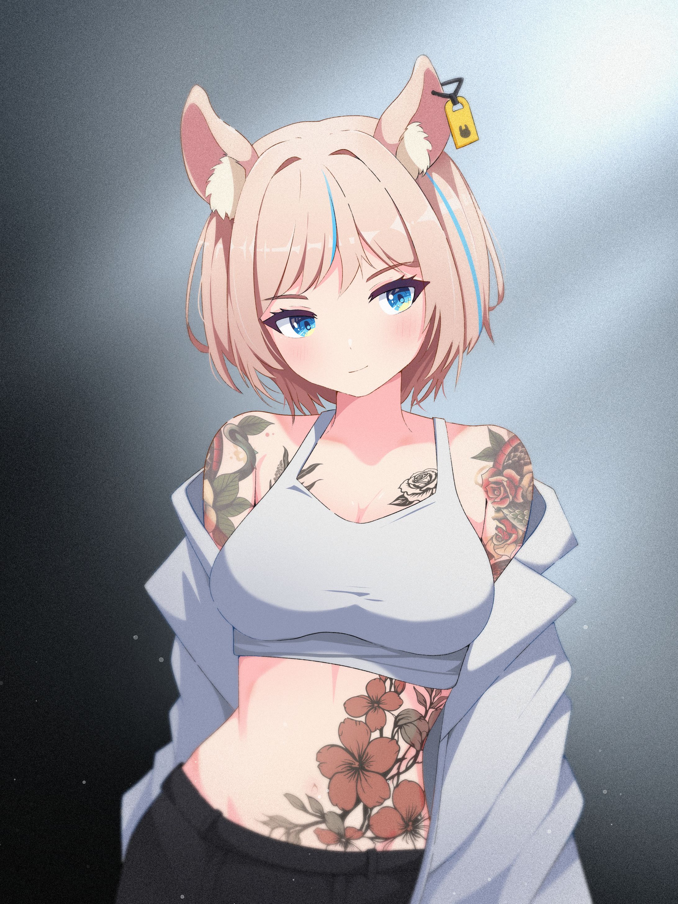 【Anime Style】Tokki Shorthair-1